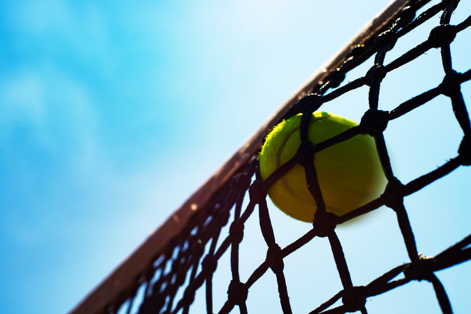 Tennis ball on the net