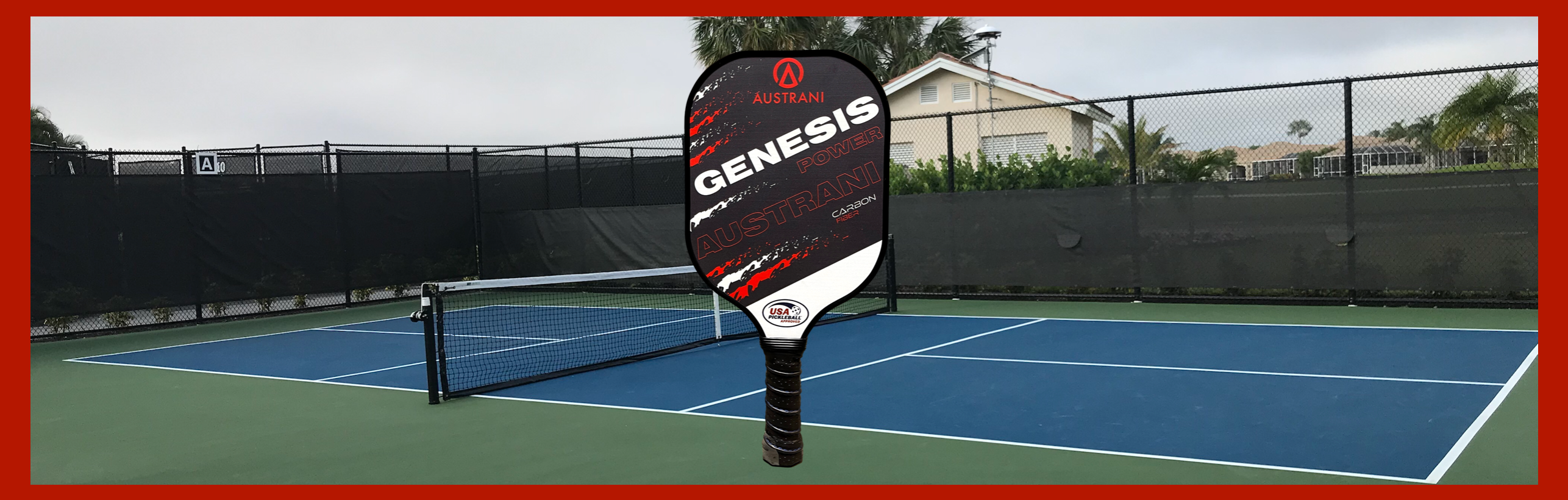 Austrani Pickleball Paddles Racquet Point